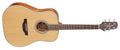 Takamine GD20-NS - Stålsträngad akustisk gitarr