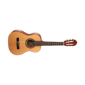 Cort AC50 OP w/bag