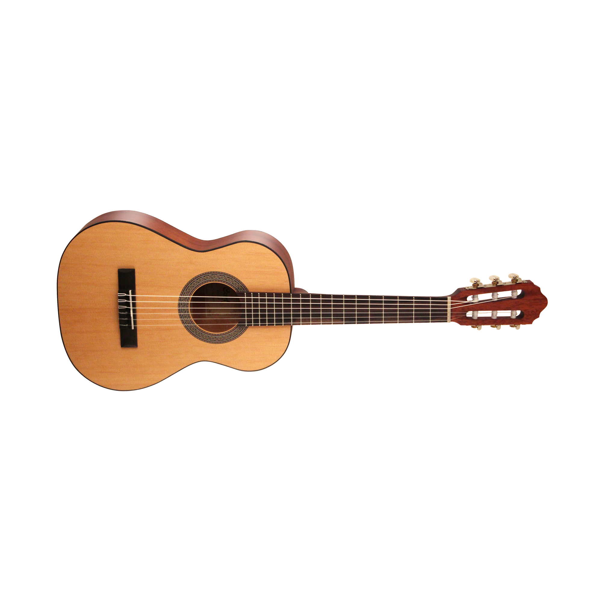 Cort AC50 OP w/bag