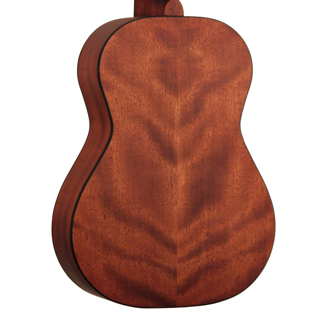 Cort AC50 OP w/bag