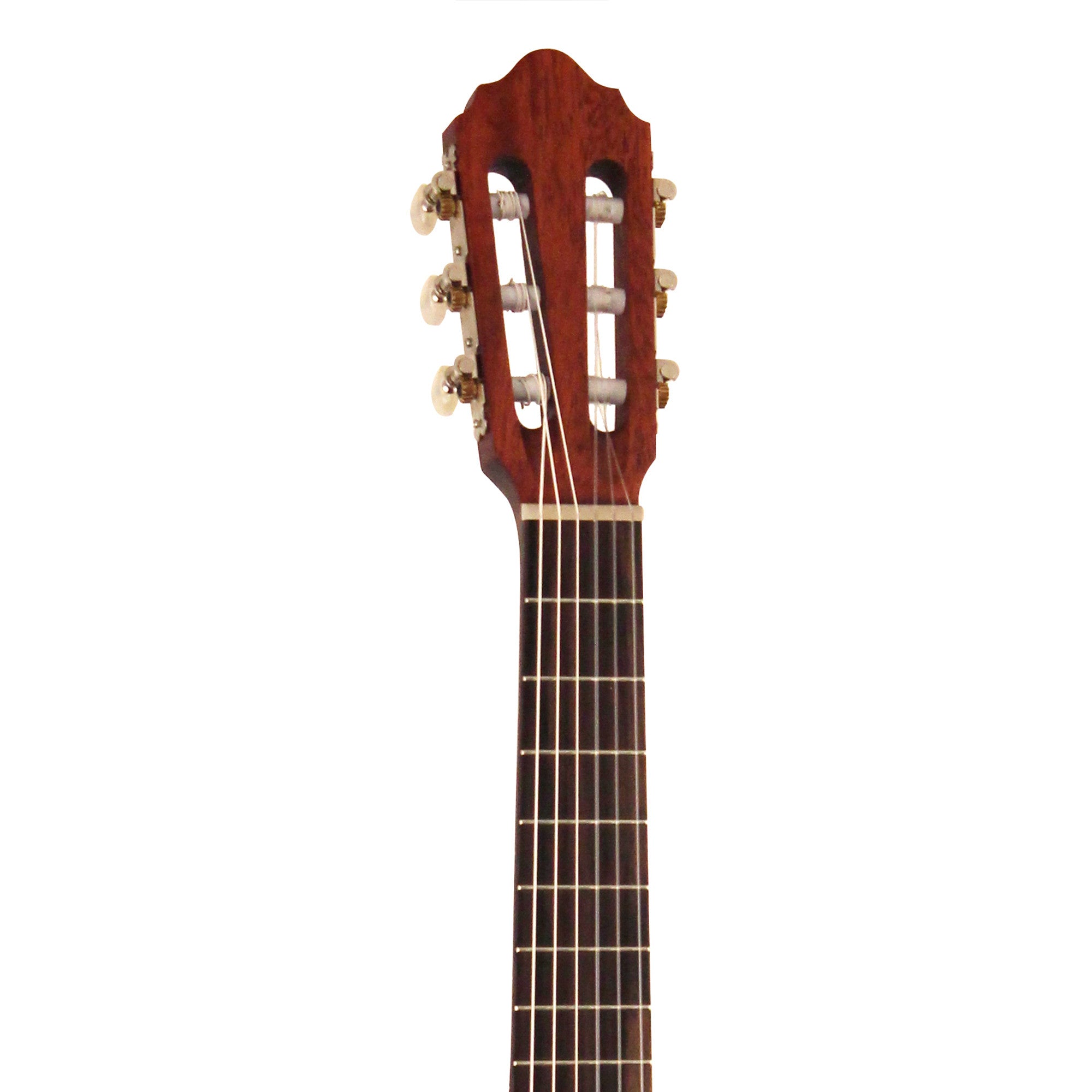 Cort AC50 OP w/bag